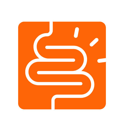 transition digestion raw 1 transition digestion raw 1